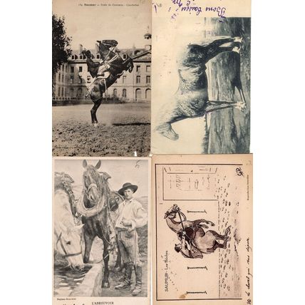 French Horse Racing 4x Antique Race Training Equestrian Postcard s