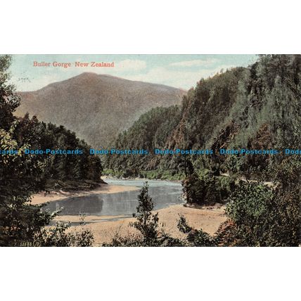 R051437 Buller Gorge. New Zealand. Valentine