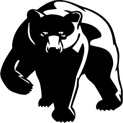 bear grizzly cub vinyl decal sticker