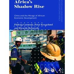 Politics and Development in Contemporary Africa: Africa's Shadow Rise