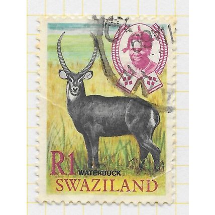 SWAZILAND 1969 WILD ANIMALS NATIVE R1 WATERBUCK SG174 174 SG USED creasing