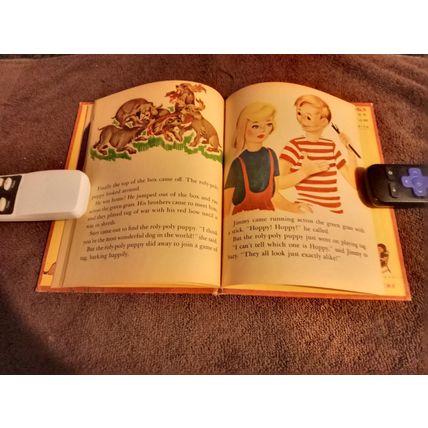 Wonder Book Hoppy The Puppy By Barbara S. Bates 1950 Great Shape