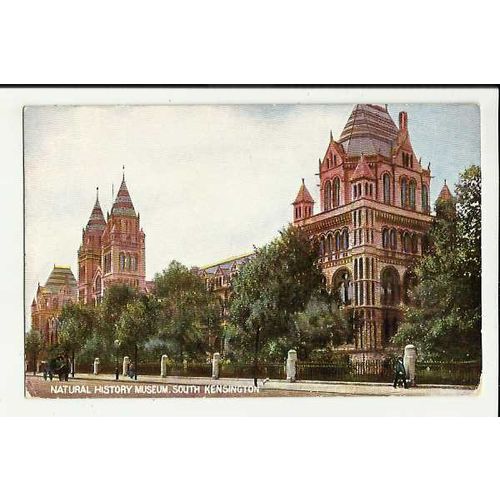LONDON Natural History Museum Postcard by Hildesheimer (5292)