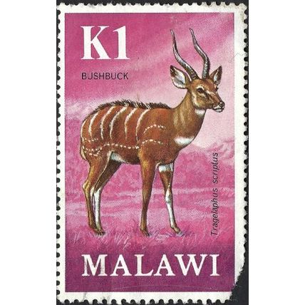 MALAWI, MAMMAL, Bushbuck, pink 1971, Ki
