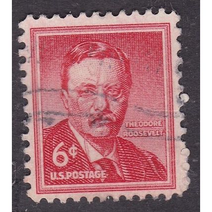 United States 1955 Theodore Roosevelt 6c Fine Used SG 1037 VGC