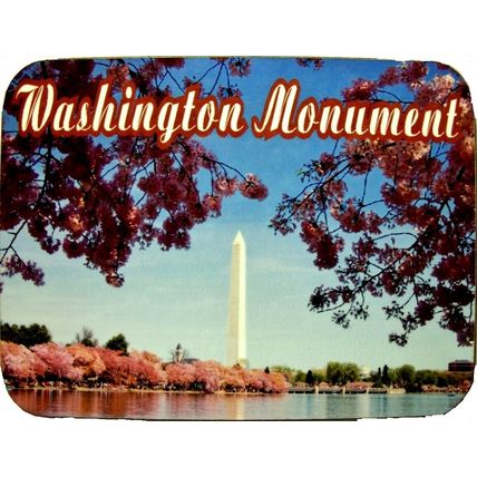 Washington D.C. Monument with Cherry Blossoms Fridge Magnet
