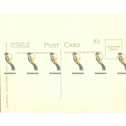 Tal-y-Llyn, Wales, Valentines Aurochrome Postcard, 1923