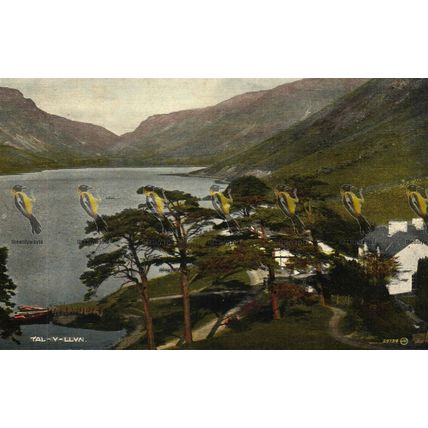 Tal-y-Llyn, Wales, Valentines Aurochrome Postcard, 1923
