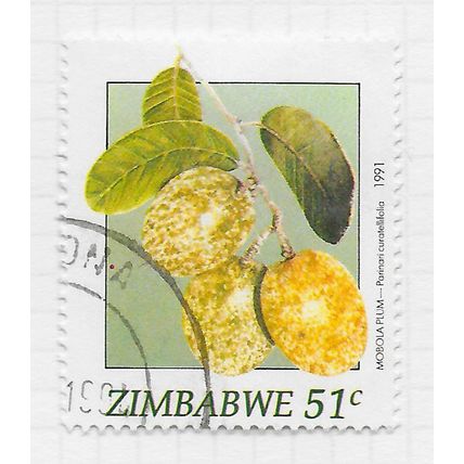 ZIMBABWE 1991 WILD FRUITS MOBOLA PLUM 51c USED FLORA