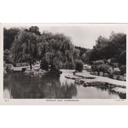 B444 SCARBOROUGH - PEASHOLM GLEN R/P POSTCARD