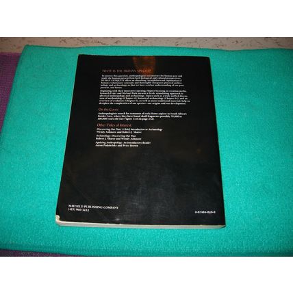 1989 Human Antiquity College Textbook Softcover