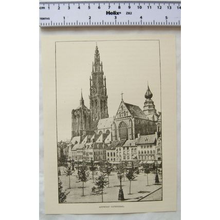 Vintage engraving: Antwerp Cathedral