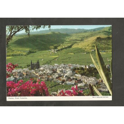 Postcard Canary Islands Gran Canaria John Hinde 2CT66 Arucas