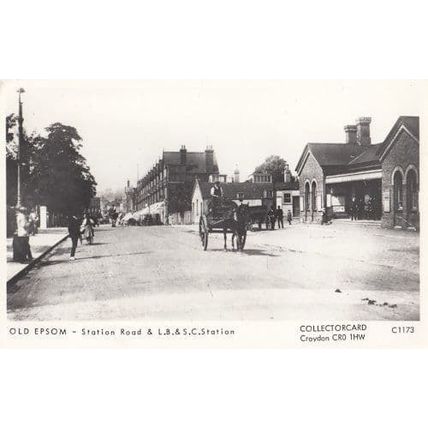Epsom Surrey Station Road Horse & Cart Postcard