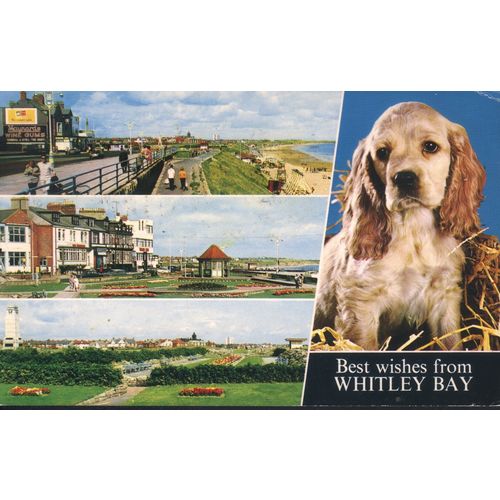 Vintage GB PC 1973 - Best Wishes From Whitley Bay, Multiview, Northumberland