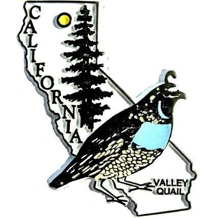 California State Outline with Valley Quail Fridge Magnet