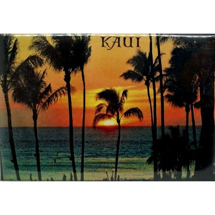 Kaui Hawaii Sunset Fridge Magnet