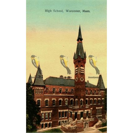 High School, Worcester, Mass, USA, 13738 Metropolitan News Postcard