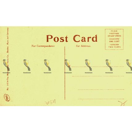 High School, Worcester, Mass, USA, 13738 Metropolitan News Postcard