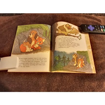 Little Golden Book The Fox And Hound Hide & Seek By Mary Carey VF 8.0 1996
