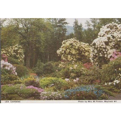 Lea Gardens Mayfield Derbyshire Womens Institute Postcard