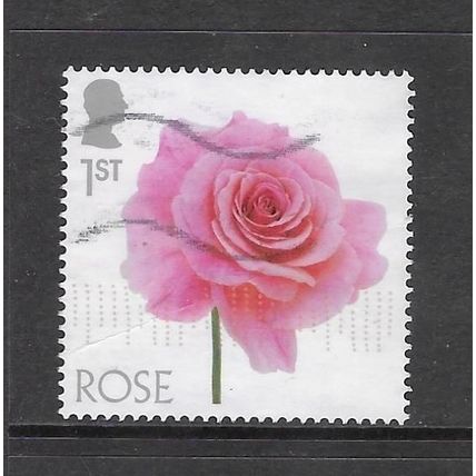 2023 Flowers - rose - used