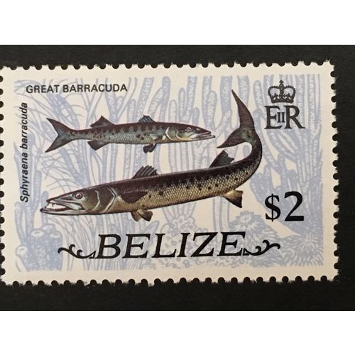 Belize 1974 $2 Great Barracuda Unmounted Mint NHM SG 373 Sc 338 stamp fish