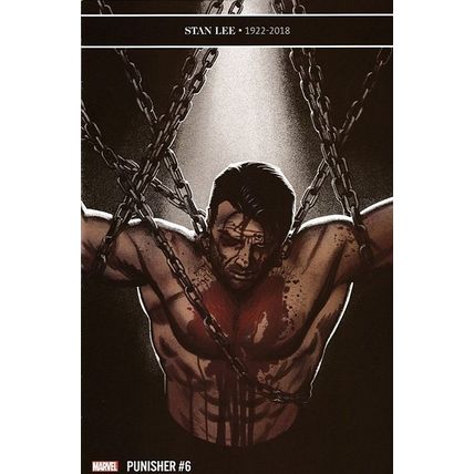 Punisher (Vol 9) # 006 NM MODERN AGE COMICS