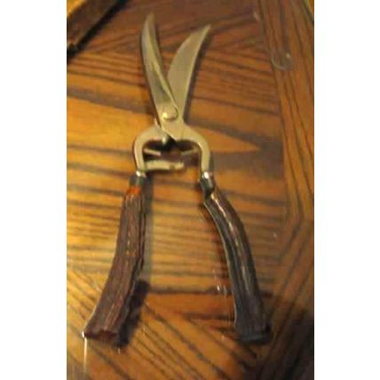 OLD MERIDEN CUTLERY CO GERMANY HUNTER'S ANTLERS HANDLES BIRDS SCISSORS CUTTERS