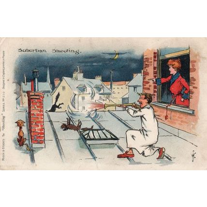Suburban Shooting Scaring Rooftop Cats Old Comic Postcard