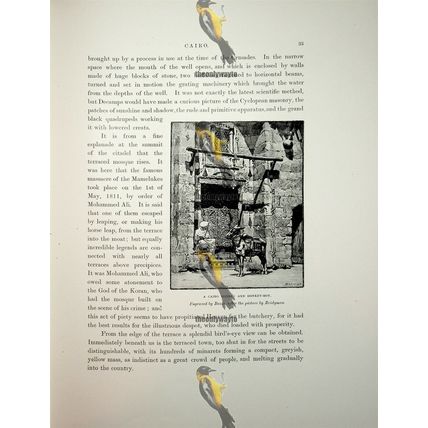 Cairo Donkey & Donkey Boy, Egypt, Bazin, Book Illustration (Print), 1892