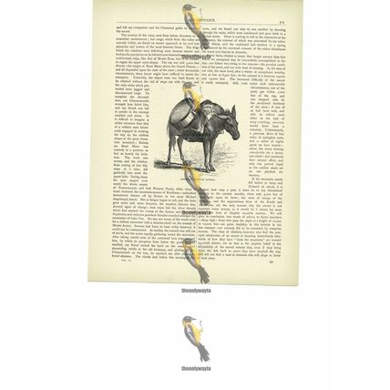Armenian Baggage Animal, Book Illustration (Print), c1880