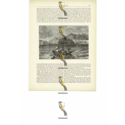 Arabs Fishing On The Red Sea, Book Illustration (Print), c1880