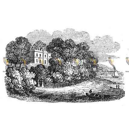 Apply House, Isle Of Wight, England, 1840, MODERN REPRODUCTION