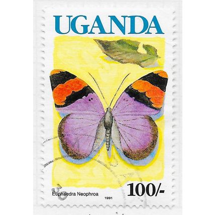 UGANDA 1991 BUTTERFLIES BANDED FORESTE BLUE COUNTRY 100/- IMPRINT DATE 1991 USED