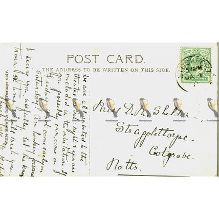Calton Hill, Edinburgh, Scotland, Valentine's Series Postcard, 1900s