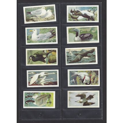 Brooke Bond Original Vintage Full Set of 50 Tea Cards Wild Birds in Britain 1965