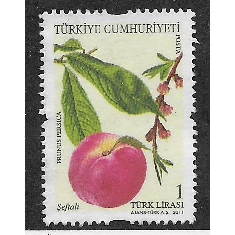 TKY 2011 1YTL 'FRUITING TREES' FINE USED (EBID53-170)
