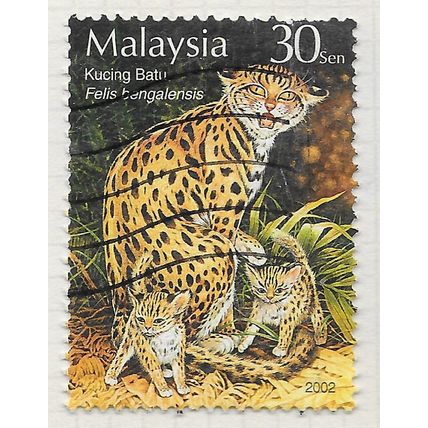 MALAYSIA 2002 CATS KUCING BATU MARBLED KITTENS MOTHER ANIMAL 30s USED sht perfs
