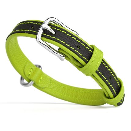 Soft Leather Dual Color Collar W 1" L 19-24" Lime Green
