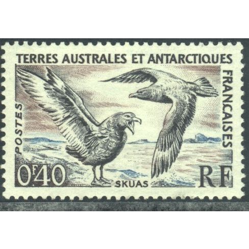 France (Southern & Antarctic Territories) 1956 - SG3 - Skuas - MH