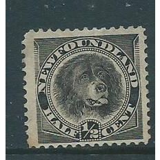 Newfoundland stamps sg59 sg 59 newfoundland dog unused no gum