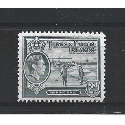 Turks&Caicos.SG198 2d Raking Salt (Grey).Mounted Mint.Aug24e