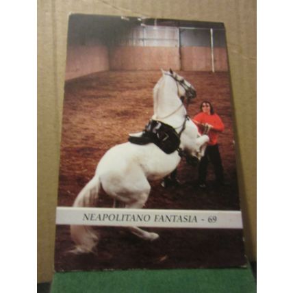 STARROCK STUD, LUDWELL, SHAFTESBURY, DORSET unused postcard =