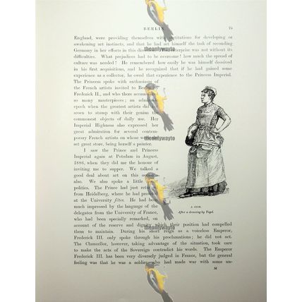 Cook, Berlin, Germany, Vogel, Book Illustration (Print), 1892