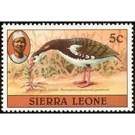 Sierra Leone 1980 Birds 5c Spur winged Goose Unmounted Mint NHM SG 625A stamp