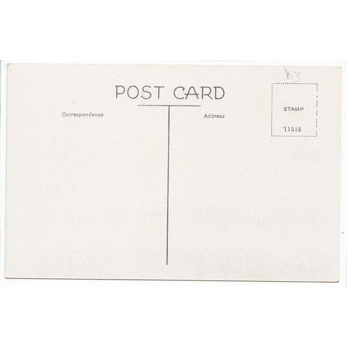 Danbury Common Essex Postcard D3