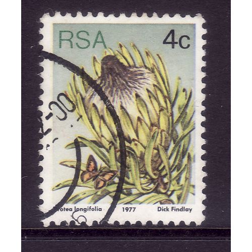 SOUTH AFRICA 1977 SUCCULENTS 4c P LONGIFOLIA SG 417 FINE USED#2