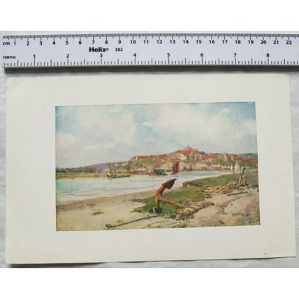 1904 illustration - Rye by Wilfrid Ball