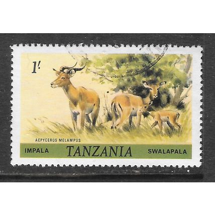 TANZANIA IMPALA MAMMAL ANTELOPE FAUNA USED FAMILY MALE FEMALE CALF